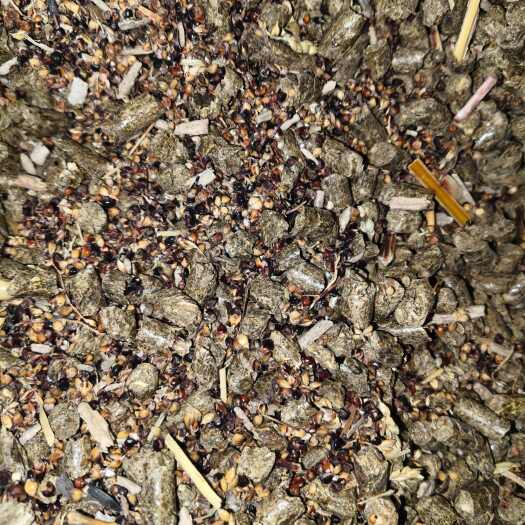 三河市花生秧颗粒全料