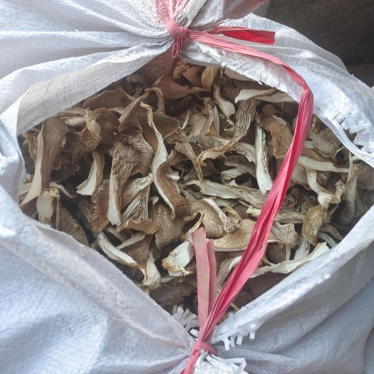 邯郸干平菇，