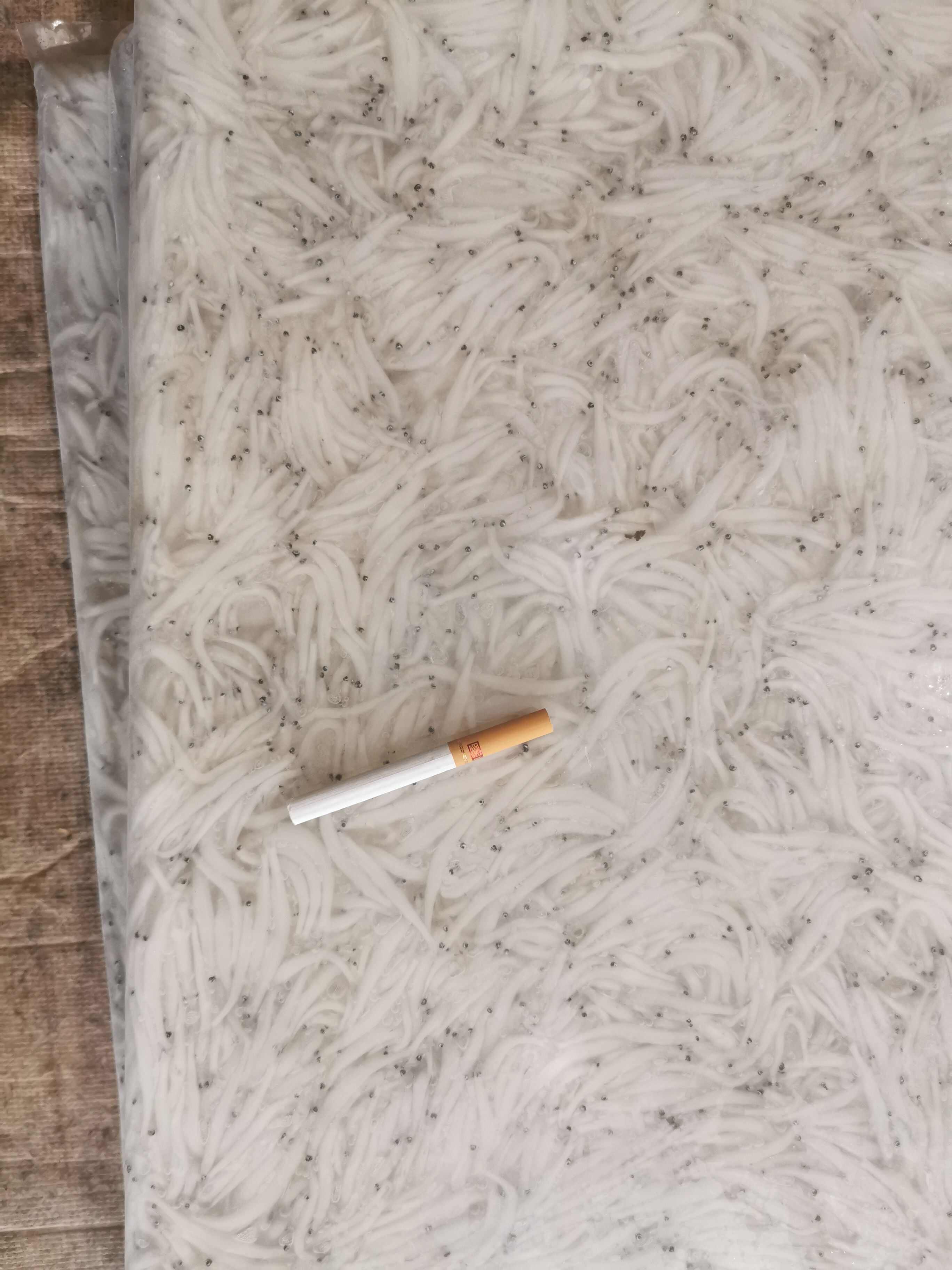新鲜冷冻小银鱼，规格齐全，产地直销，肉质鲜嫩。