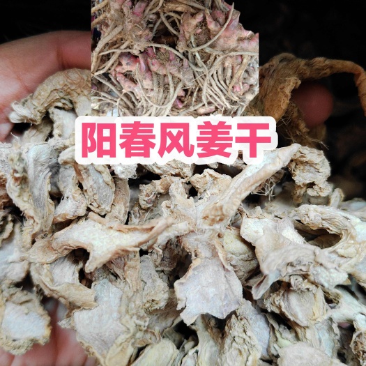 阳春市阳春本地风姜干月子姜干货足干无硫