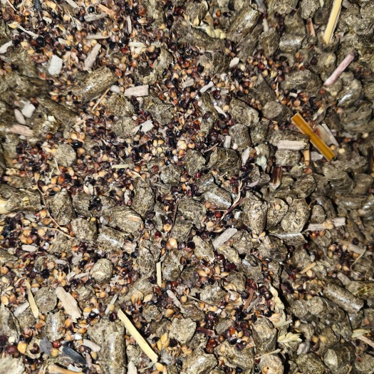 三河市花生秧颗粒全料