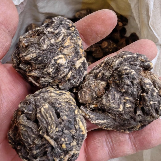 昆明玛卡 黑玛卡 云南丽江黑玛咖 黑玛卡干货大货批发