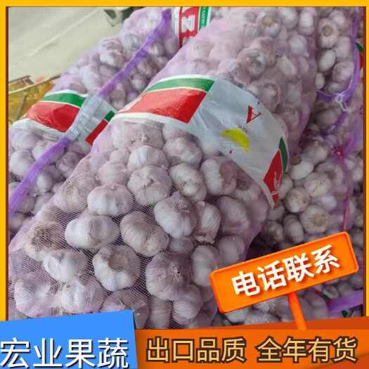 沂水县大蒜 紫皮大蒜 产地货源 量大质优