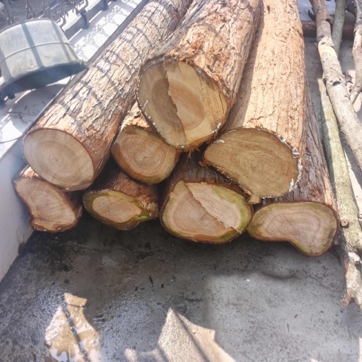 安陆市自己家承包几十年老杉木树出售，50一根量多优惠，有盖瓦杉树
