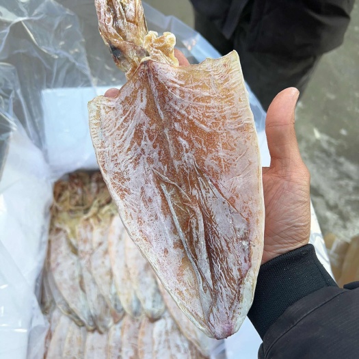 北海广西北海A1A2A3A4A5鱿鱼干烧烤店娱乐场所炭烤手撕专用