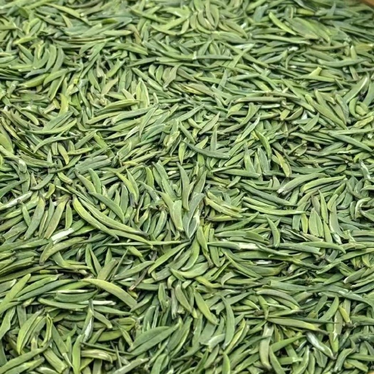 峨眉山市峨眉山竹叶青绿茶  峨眉雪芽  竹叶青绿茶论道品味