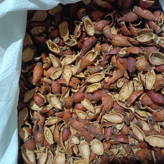 沅陵县金樱子干货后期果.精品包邮