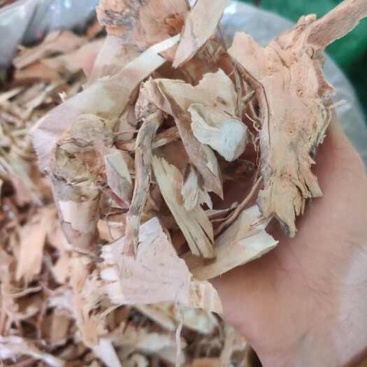 玉林朝天罐，爆牙狼
