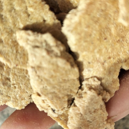 曹县本厂常年出售碎大豆，黄豆，豆瓣，碎黄豆，上地养殖，榨油豆，