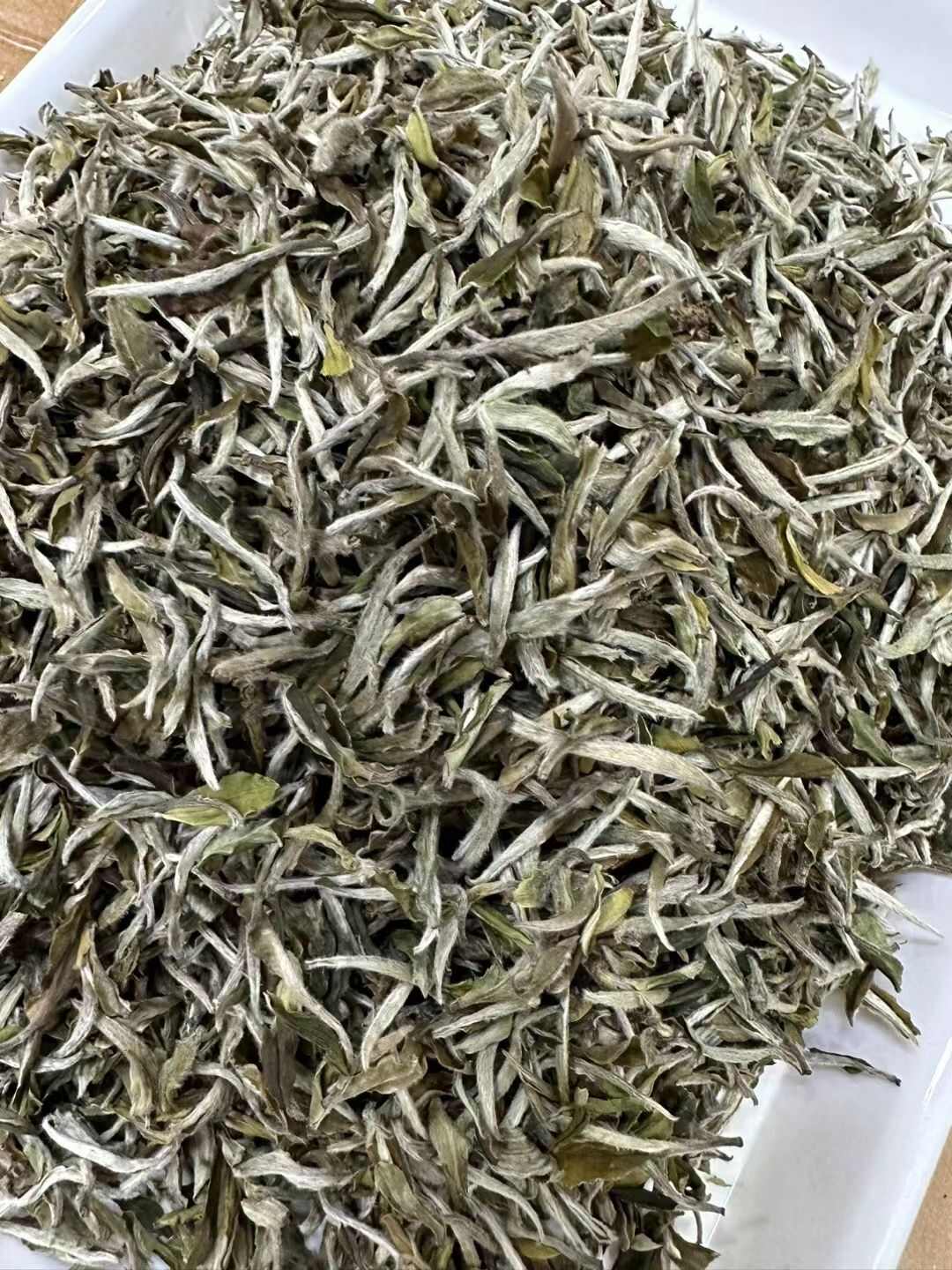 2023年春茶福鼎白牡丹500g 白茶明前花香白牡丹批发