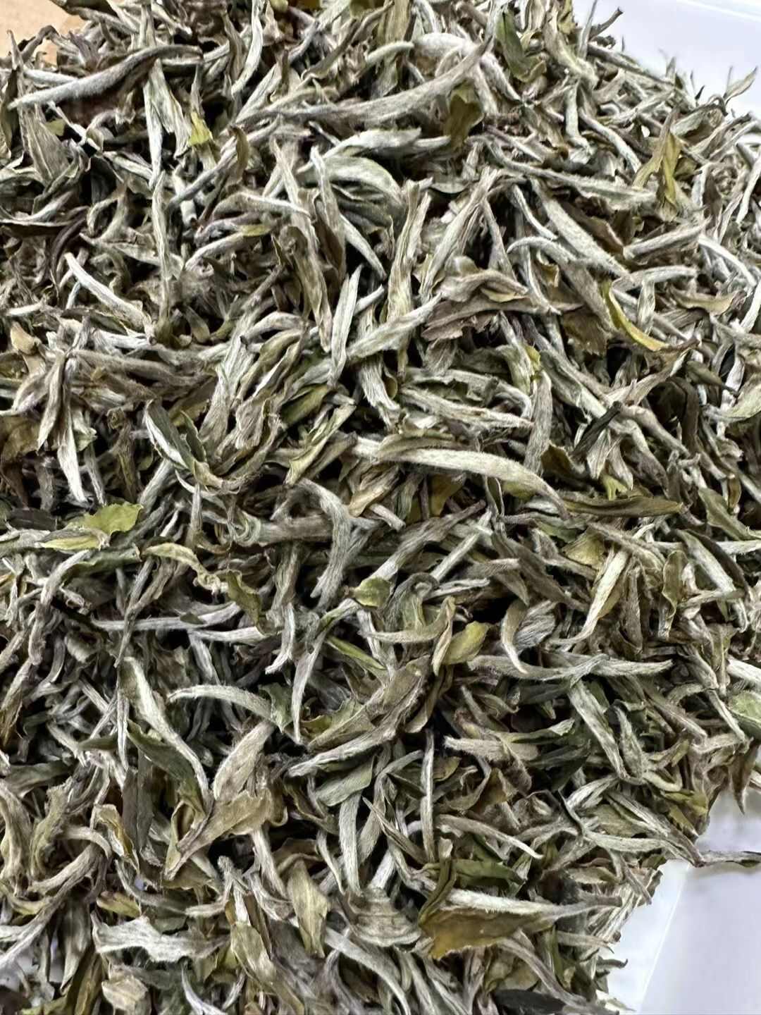 2023年春茶福鼎白牡丹500g 白茶明前花香白牡丹批发