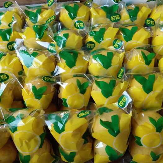 安岳县安岳尤力克柠檬双胞胎包装，一二级果100克到130克左右