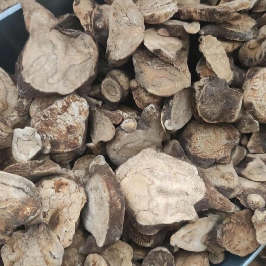 鄄城县江油生片干货，货很漂亮 生片 炮片 都有货