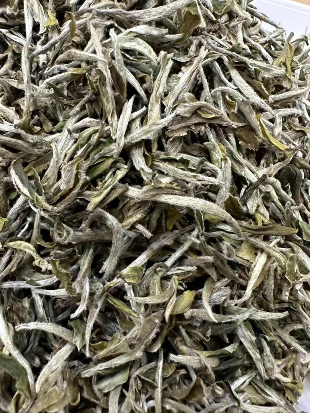 2023年春茶福鼎白牡丹500g 白茶明前花香白牡丹批发