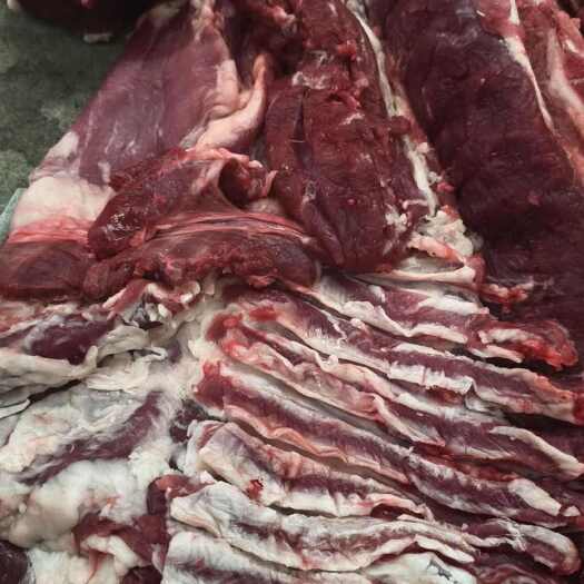 临沂鲜羊肉