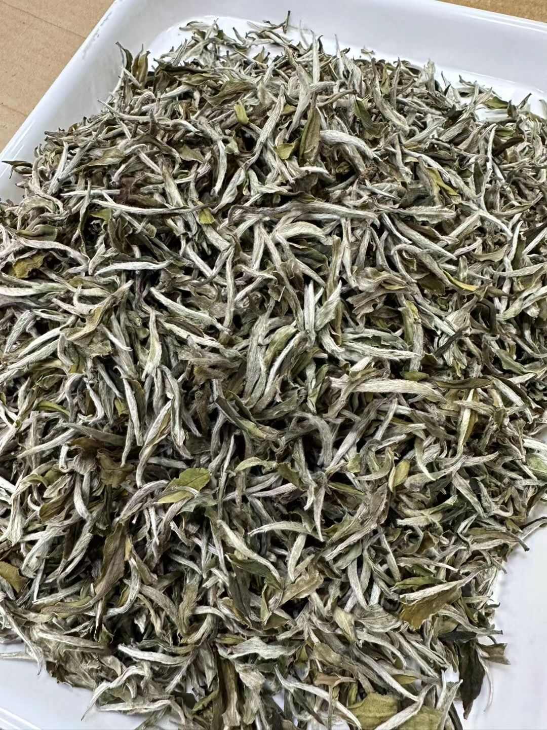 2023年春茶福鼎白牡丹500g 白茶明前花香白牡丹批发