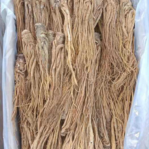岷县当归甘肃岷县当归规格全