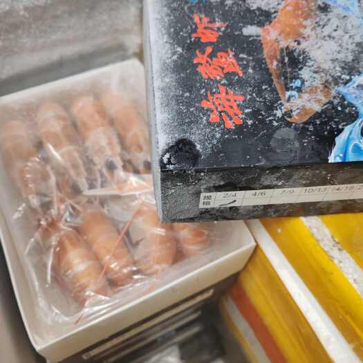 沈阳莫桑比克鳌虾6-8 14-18