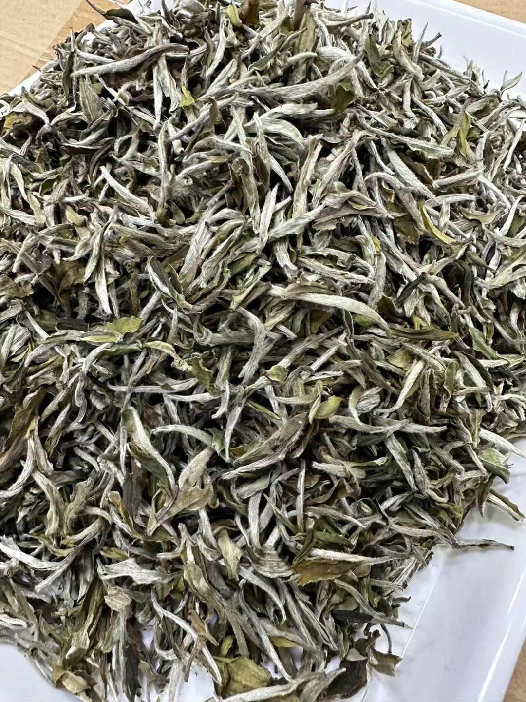 2023年春茶福鼎白牡丹500g 白茶明前花香白牡丹批发