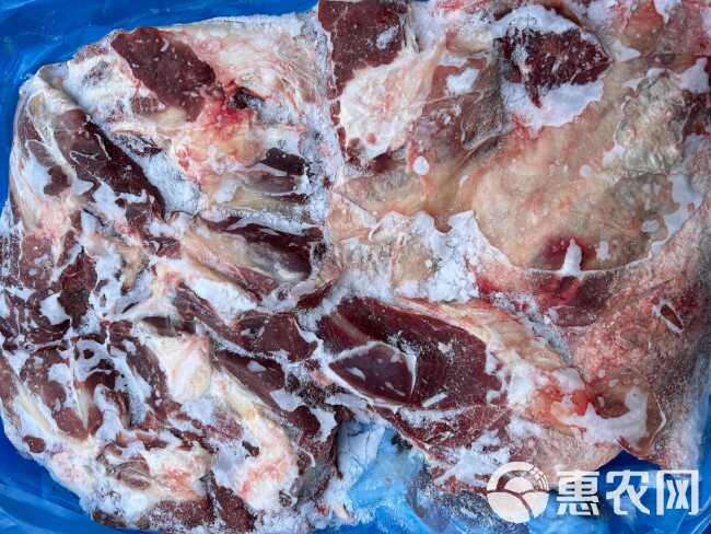 牛肉 牛腱肉 新西兰牛腱子 质量好 干货