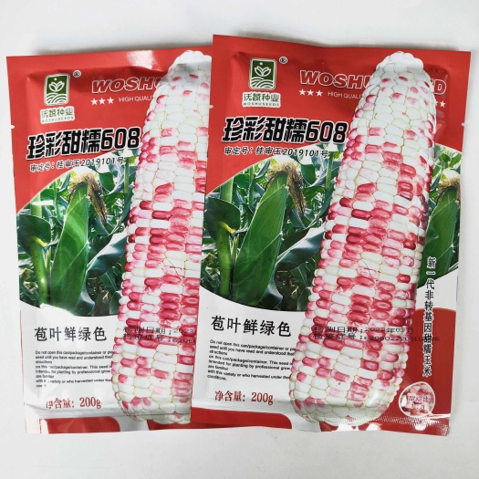 沭阳县珍彩糯608糯玉米种子矮杆大棒高产抗病超甜鲜食杂交大田四季种