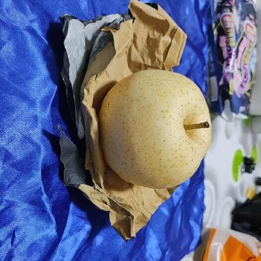  黄金梨