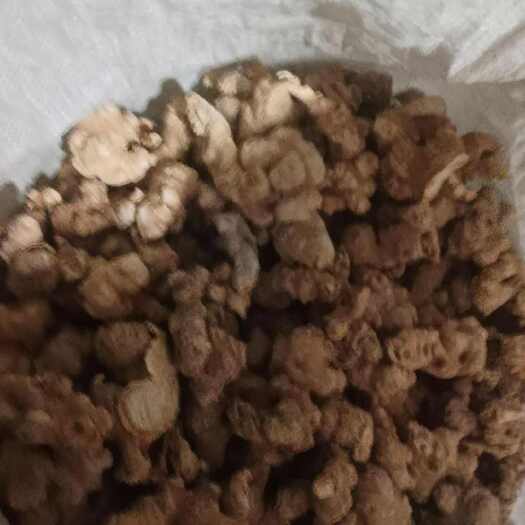 龙陵县竹节参