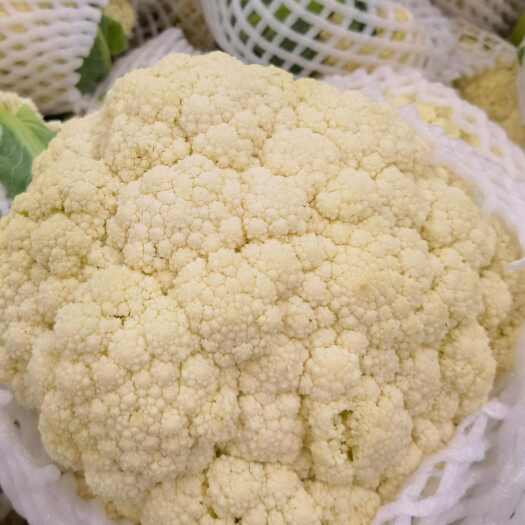 保山云南保山花菜