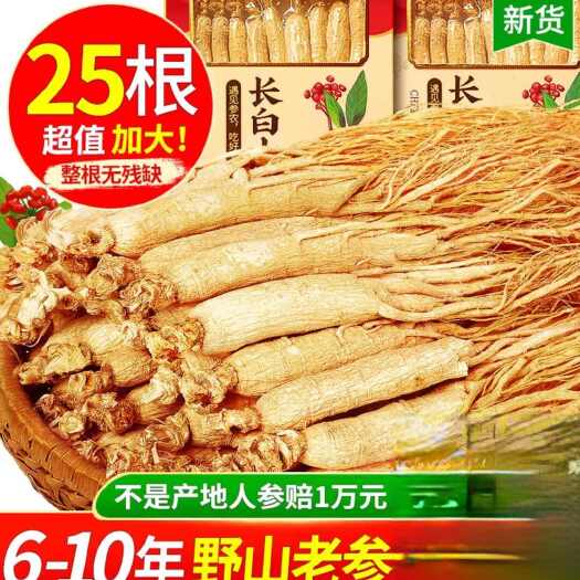 通化县盒装精品人参10年长白山人参25支4支6支干参新鲜生晒参