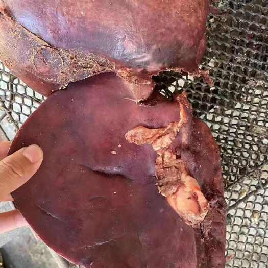阳信县熟牛肝