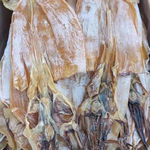 魷魚干