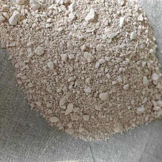  骨粉