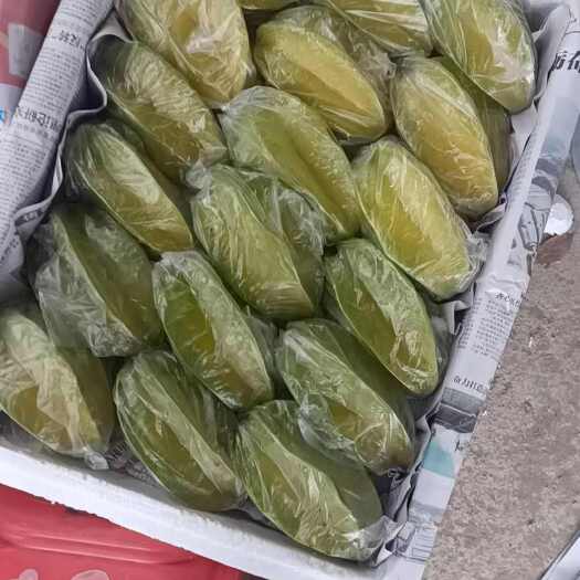 化州市香蜜杨桃，口感脆甜多汁，果面干净，质量保证，大量供应