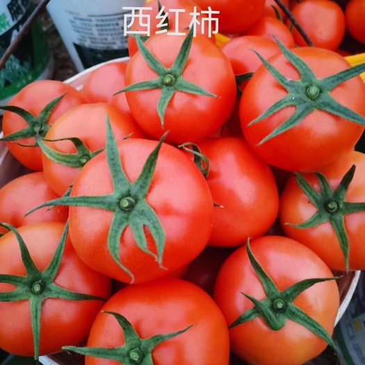 蒙自市云南蔬菜、原产地直发！