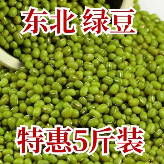 张家口新鲜绿豆 5斤 发芽绿豆笨绿豆农家自产五谷杂粮煮粥