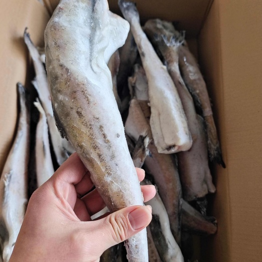去头单冻明泰鱼鳕鱼