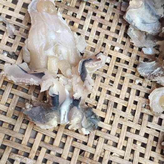 邵阳牛蹄筋