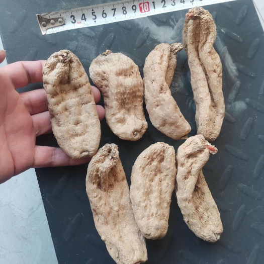 特大天麻，6-10个/斤，无硫全干，个头饱满，产地货源。