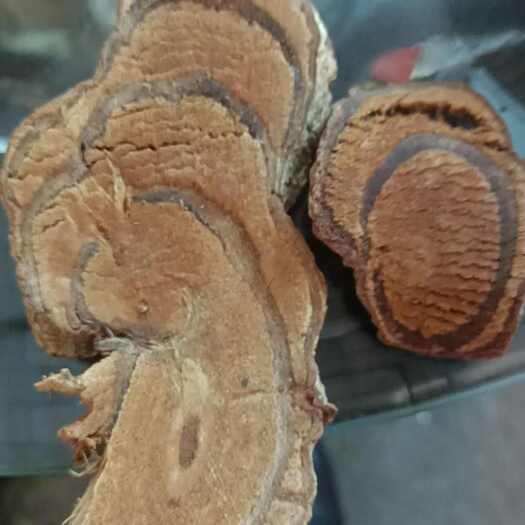 东兴市鸡血藤