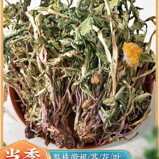 利辛县蒲公英天然整棵带根 干的蒲公英茶婆婆丁新货