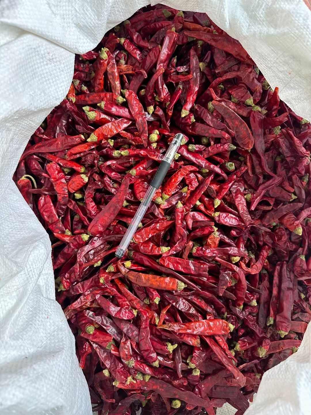 [魔鬼辣椒批发]魔鬼椒 特辣 魔鬼椒段 魔鬼椒个 国产魔鬼椒价格11元