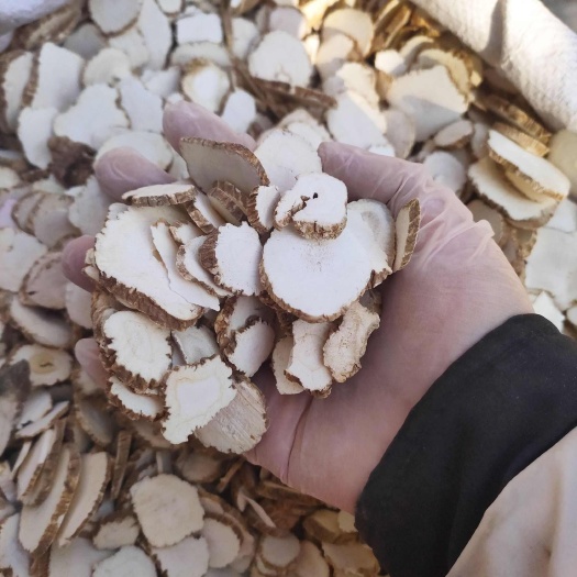 玉林白芷片 过筛无硫 圆统大片 煲汤中药