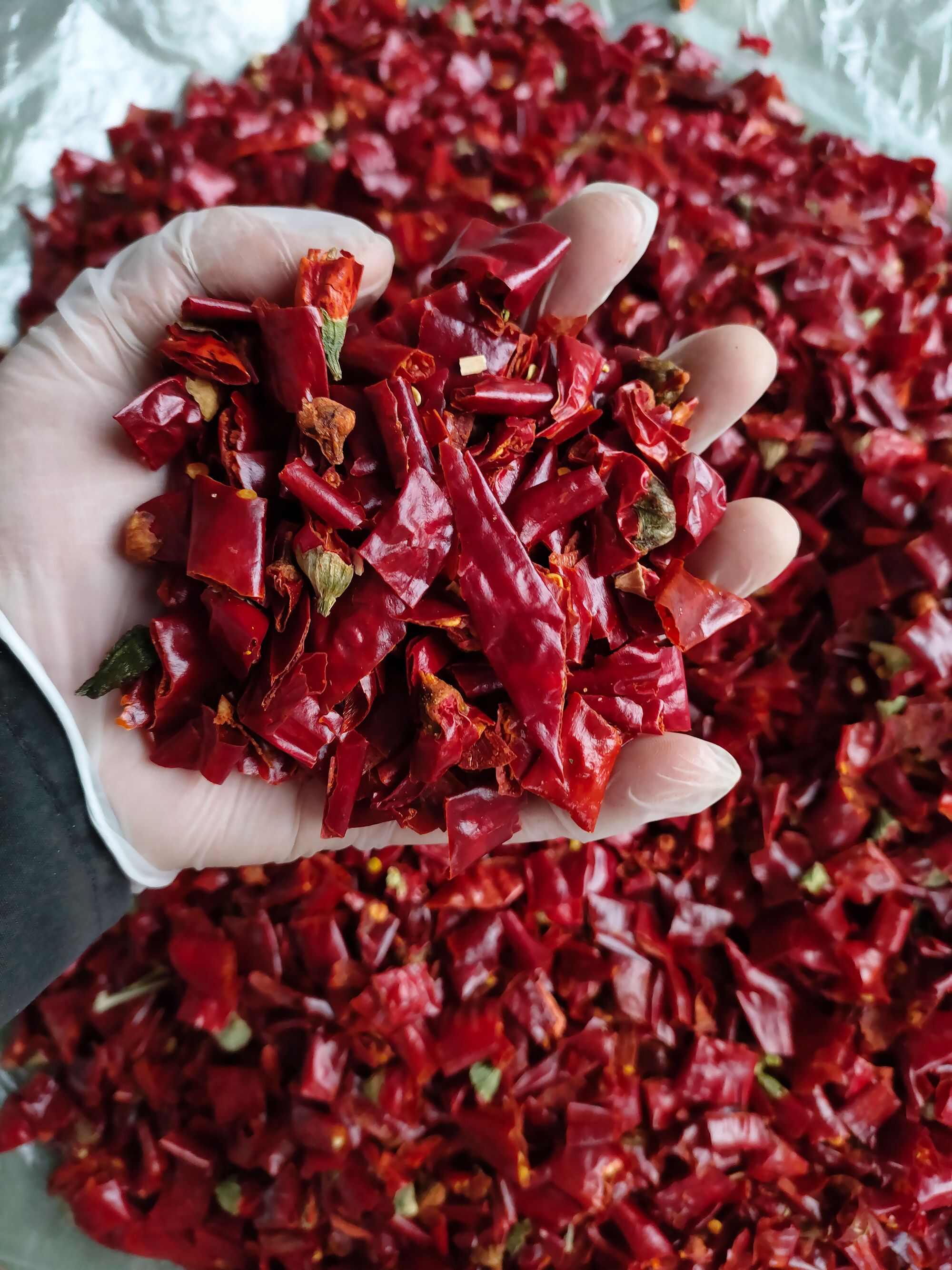 [魔鬼辣椒批发]魔鬼椒 特辣 魔鬼椒段 魔鬼椒个 国产魔鬼椒价格11元