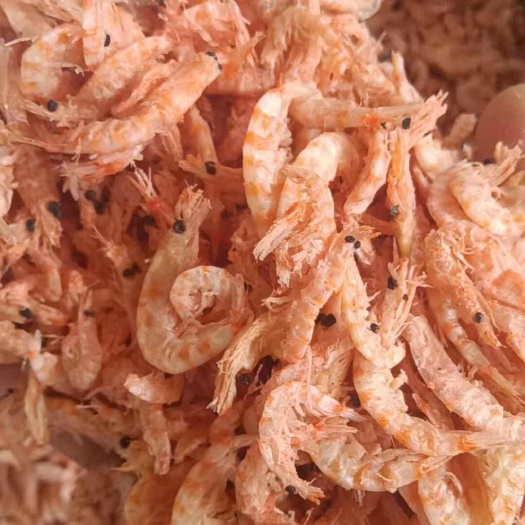 日照磷虾