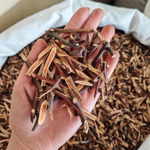 鄄城县【永发药业】皂角刺 手工剪制 皂针 选装片 方便使用不扎手
