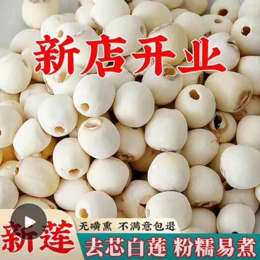 湘潭莲子净重足斤足两无芯食用干货煮粥白莲子装湖南湘潭