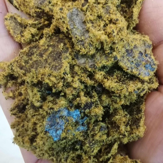 灵寿县新疆全脂膨化棉籽饼，全国发货欢迎合作，诚信经营，源头工厂