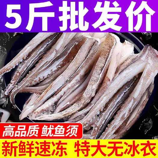 青岛【精品鱿鱼须】大号鱿鱼须新鲜冷冻非章鱼足海鲜水产整箱烧烤批发