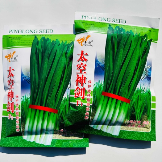 宿迁韭菜种子宽叶紫根韭菜种籽四季阳台种菜盆栽农家田园春季蔬菜种