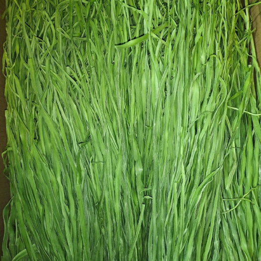 楚雄市云南贡菜 贡菜干 苔干菜